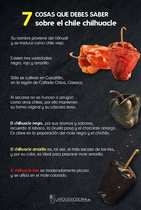 15 De Las Mejores Recetas De Salsas Para Taquizas Artofit