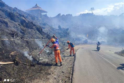 Bpbd Bondowoso Catat Karhutla Capai Hektare Di Lereng Gunung Ijen