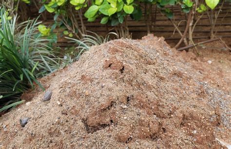 Why Should You Add Topsoil To A Compost Pile Backyard Boss