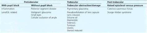 Secondary Glaucoma | Clinical Gate