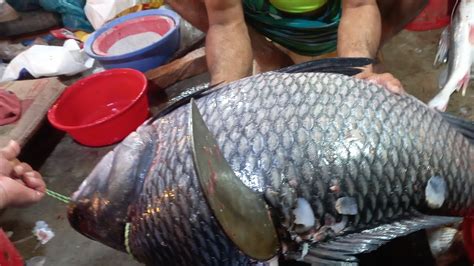 Amazing Big Katla Fish Cutting Fish Cutting Expert ARS Fish Cutting