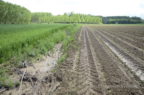 Tiglione02May12 201 Valle Tiglione Visit After Havy Rains