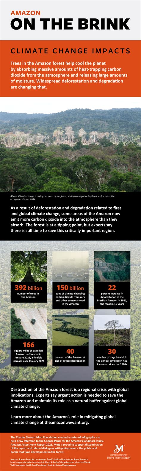 Climate Change And Increased Deforestation Are A Recipe For Destruction