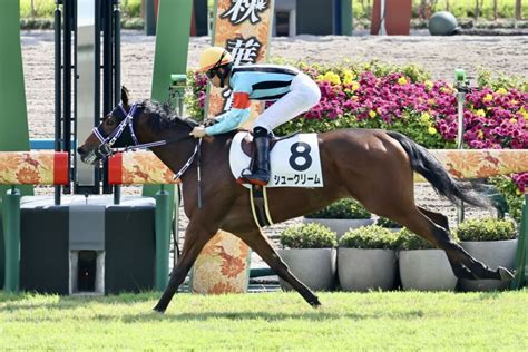 【新馬 京都4r】ファインニードル産駒 シュークリームが7馬身差圧勝 ライブドアニュース