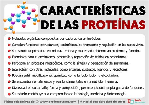 Características de las Proteínas