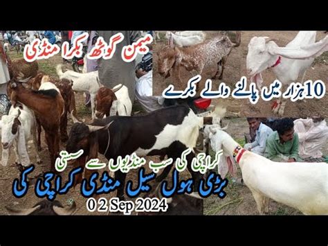 Malir Memon Goth Bakra Mandi Latest Update In Karachi Youtube