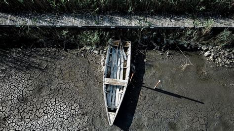 Vermutlich schlimmste Dürre seit 500 Jahren in Europa