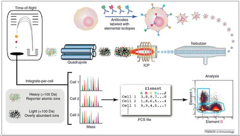 Mass Cytometry Revolves Around These 5 Things - Cheeky Scientist