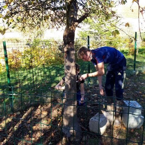 Entretien Des Arbres Fruitiers LEAP Bengy Sur Craon CFA Entre