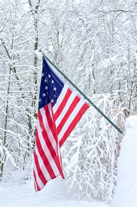 Winter American Flag on Snowy Trees