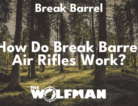 What Is The Best Break Barrel Air Rifle The Wolfman