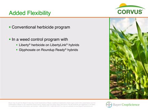 corvus corn herbicide  product guide