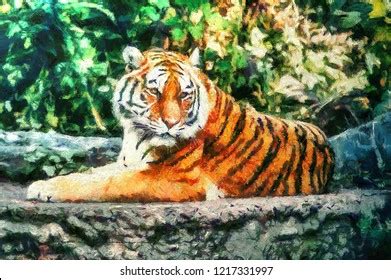 Tiger Beautiful Oil Painting Stock Illustration 1217331997 | Shutterstock