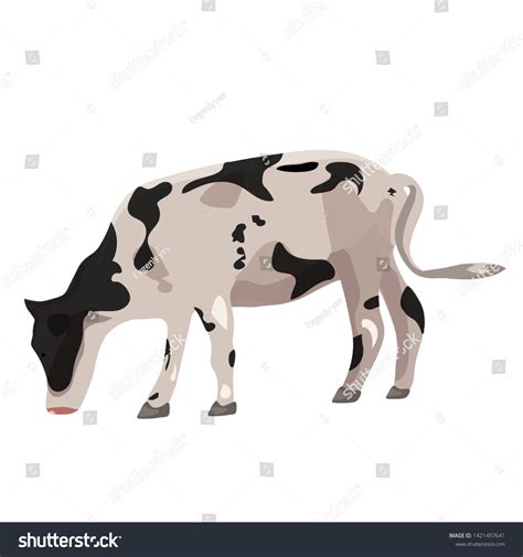 Vektor Stok Cow On White Background Vector Graphics Tanpa Royalti