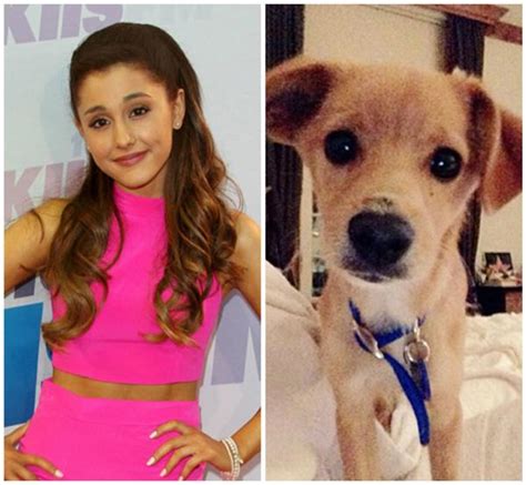 The 42 Cutest Celebrity Pets Of 2013