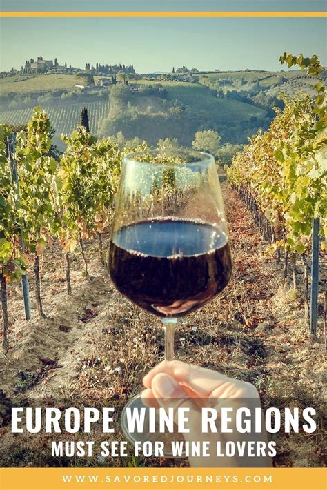 wine regions  europe  wine lovers artofit