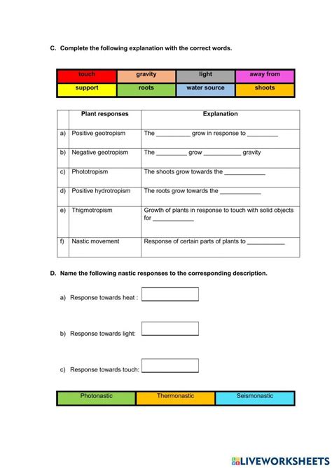 1 3 Stimuli And Responses In Plants Worksheet Live Worksheets