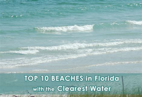 Find Out Who Has The Clearest Beaches In Florida