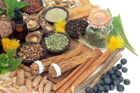 The 10 Best Herbs For Hormone Balance You Should Try