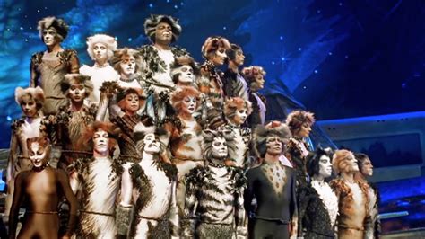 Cats 1998