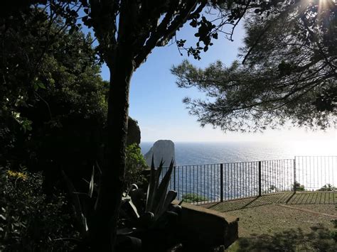 Capri Il Parco Della Certosa Di San Giacomo Riapre Al Pubblico Capri