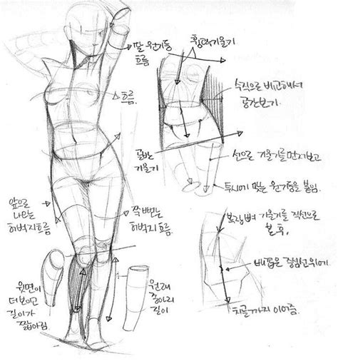 다리그림자료 네이버 블로그 인간상 드로잉 강좌 드로잉 테크닉