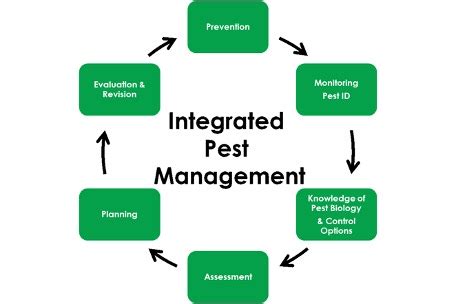 Building An Integrated Pest Management Plan Part 1 The Cannabis Pages