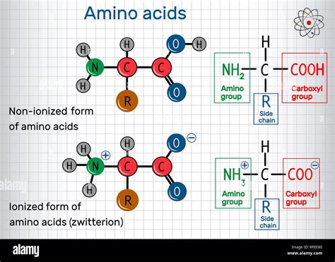 Fórmula general de los aminoácidos ionizado y no ionizado zwitterion