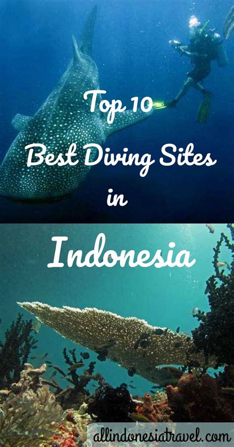 Top 10 Best Diving Sites In Indonesia Indonesia Has One Of The