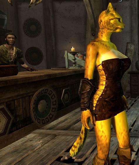 Arena Khajiit