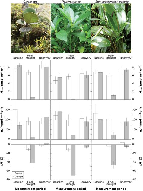 Vascular Epiphytes Show Low Physiological Resistance And High Recovery Capacity To Episodic