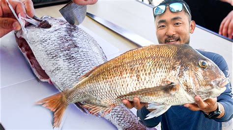 Fishing Japan Master Class In Filleting Fishjapanese Technique