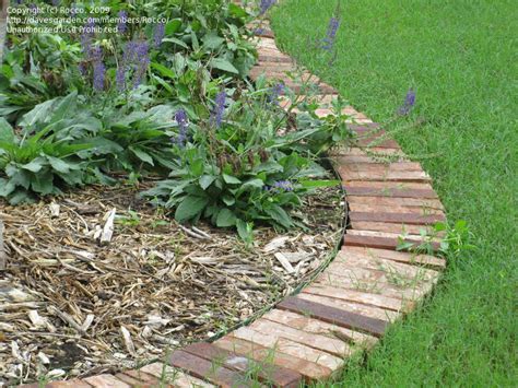 Brick Laminate Picture: Brick Garden Edging