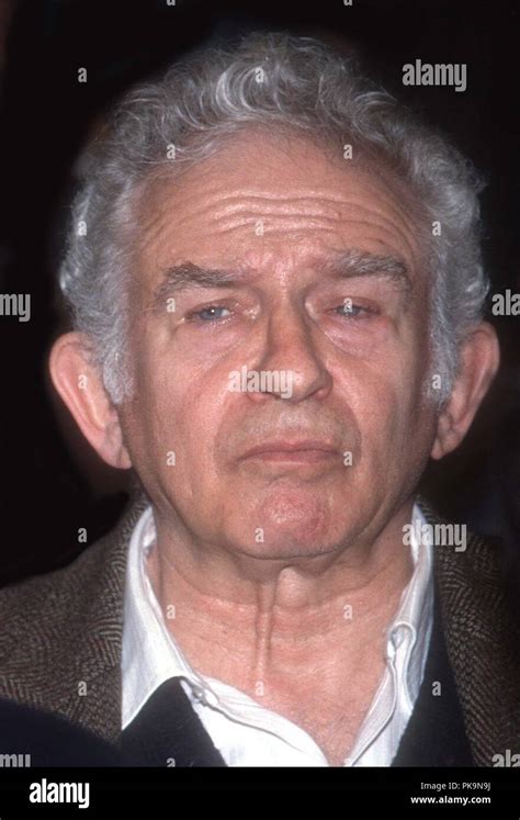 Norman Mailer 1989 Photo By Adam Scullphotolink Mediapunch Stock