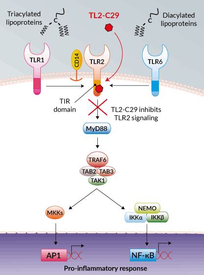 Tl C Tlr Signaling Inhibitor Invivogen