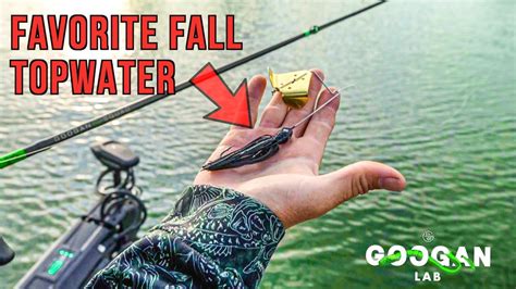 Lunkerstvs Favorite Fall Topwater Bass Fishing Tips Youtube