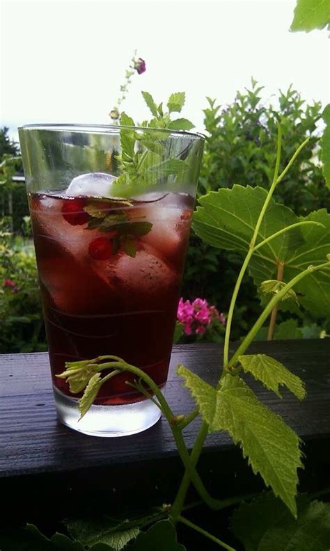 Wunderbarer J B Ice Tea Von Der Lieben Jane Rezept Ich Hab Erst Einen