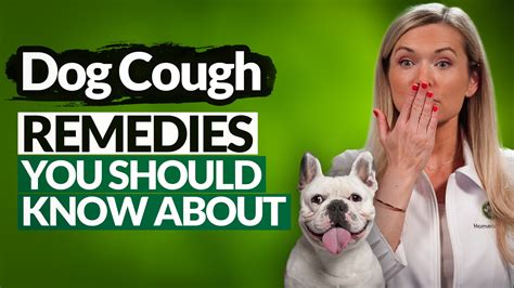 Hassle-Free And Natural Dog Home Cough Remedies - You’ve Got To Take N ...