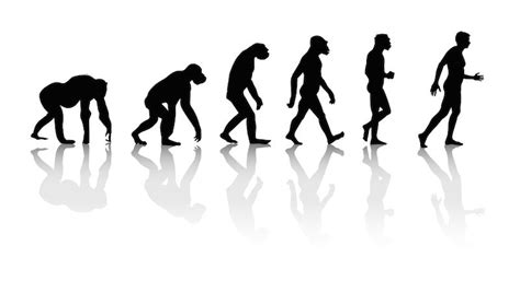 Darwin’s Theory of Evolution | Highbrow | Learn Something New. Join for ...