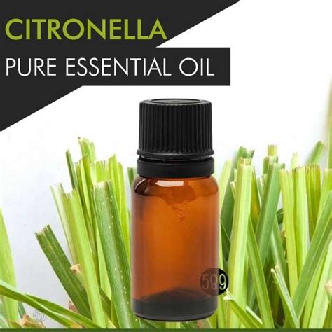 Jual Citronella Oil / Minyak Sereh Wangi - 100% Pure Essential Oil ...