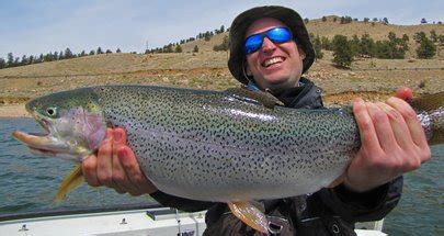 Colorado Fishing Guide-Colorado Fishing Guides