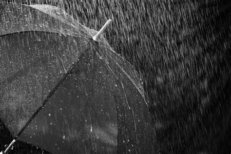 Weather Update Rain Thunderstorms Likely In Jammu And Kashmir Zee