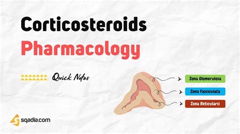 Corticosteroids Pharmacology