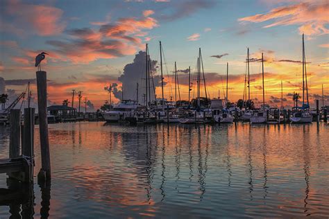 Rockport Marina Morning Print Photograph By Harriet Feagin Photography