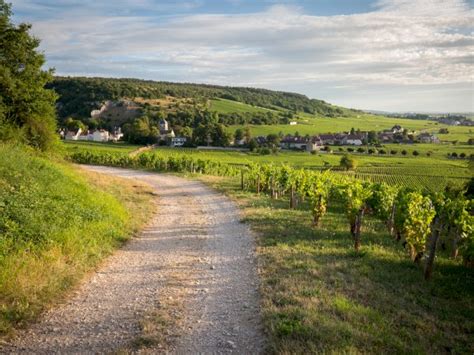 Burgundy Wine Tour Private Day Trip From Paris By Train