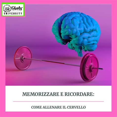 Memorizzare E Ricordare Come Allenare Il Cervello IMeMo University