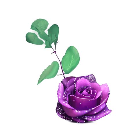 Large Open Purple Galaxy Rose With Stem And Leaves Glitter · Creative