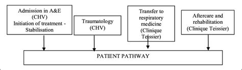 Example Of A Patient Pathway Within The New Hospital Download