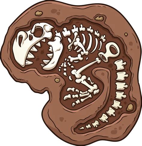 Fósil imágenes de stock de arte vectorial Depositphotos