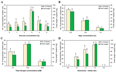 Agronomy Free Full Text Effective Propagation Of Selaginella